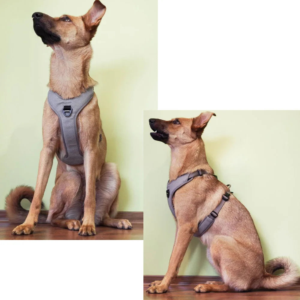 Truelove Padded Reflective Dog Pet Harness Small Large Soft