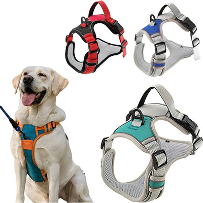 Reflective Safety Pet Dog Harness and Leash Set for Medium Large Dogs