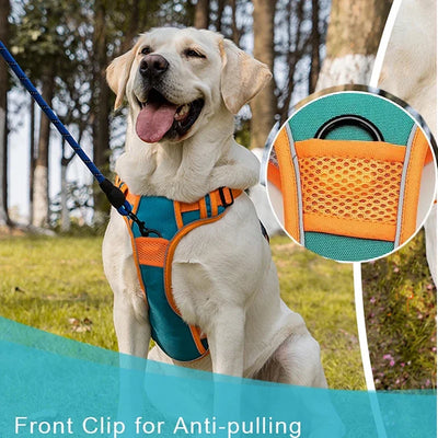 Reflective Safety Pet Dog Harness and Leash Set for Medium Large Dogs